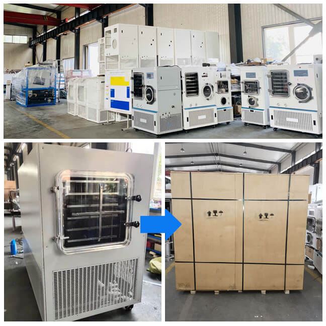 0.7m2 Vacuum Freeze Dryer
