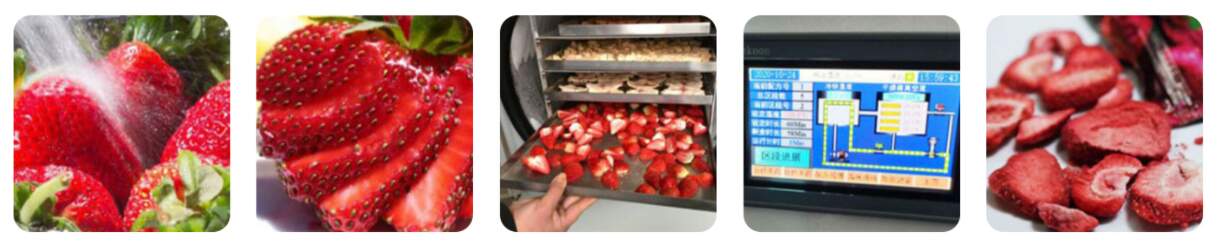 Freeze dryer finished products show Freeze dryer finished products show